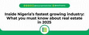 Read more about the article Inside Nigeria’s Fastest Growing Industry: What You Must Know About Real Estate in 2025