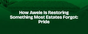 Read more about the article How Awele Is Restoring Something Most Estates Forgot: Pride