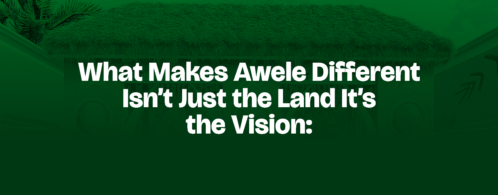 Read more about the article What Makes Awele Different Isn’t Just the Land — It’s the Vision