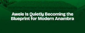 Read more about the article Awele Is Quietly Becoming the Blueprint for Modern Anambra