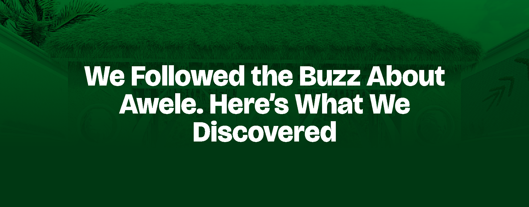 Read more about the article We Followed the Buzz About Awele. Here’s What We Discovered