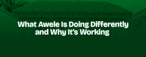 Read more about the article What Awele Is Doing Differently — and Why It’s Working