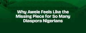 Read more about the article Why Awele Feels Like the Missing Piece for So Many Diaspora Nigerians